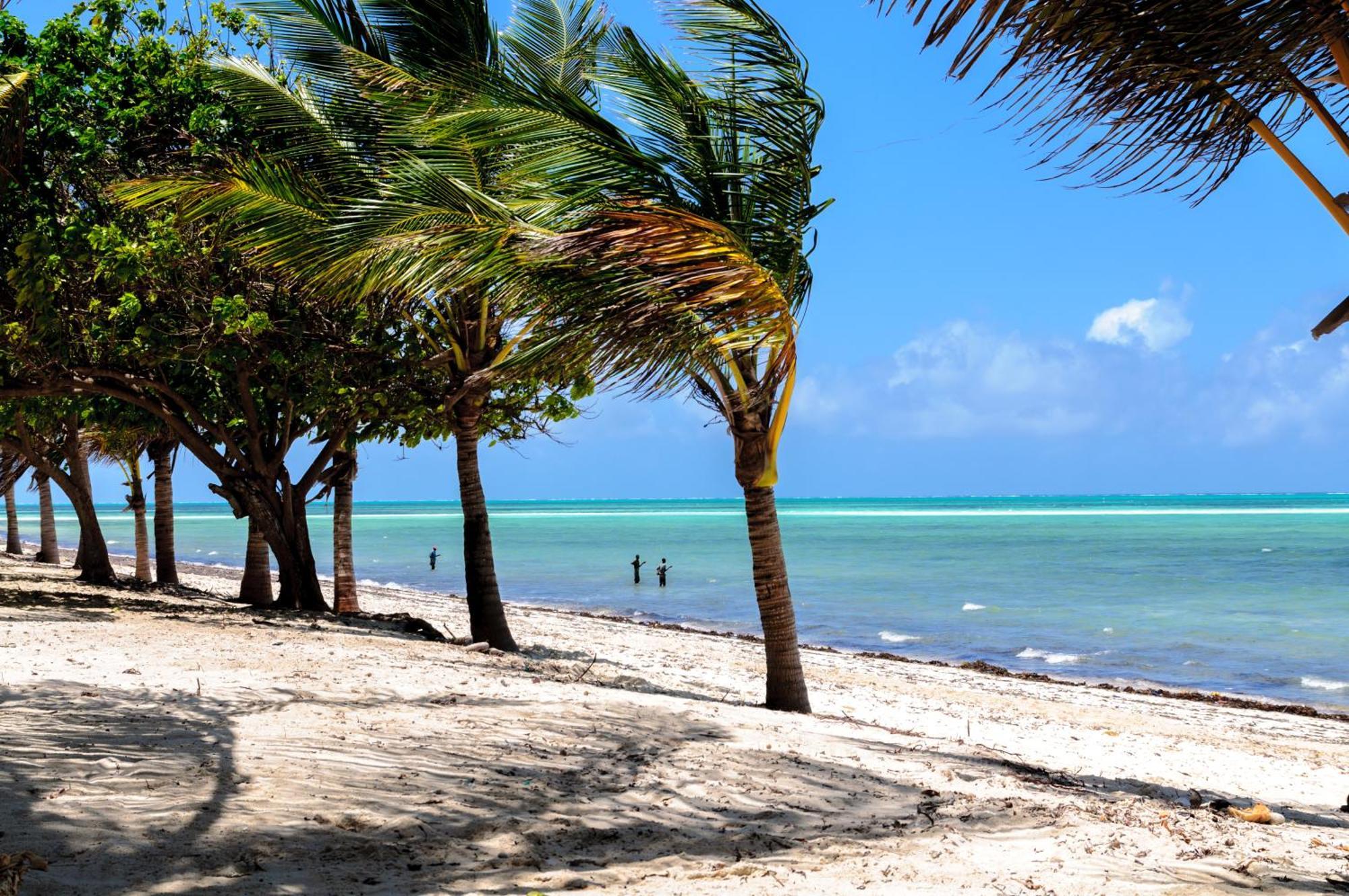 Twiga Beach Resort Watamu Buitenkant foto