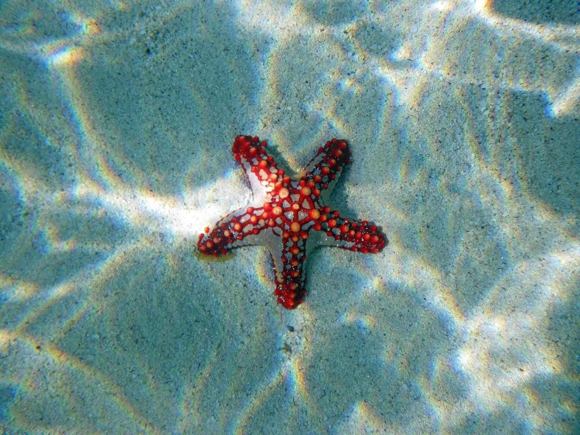 Twiga Beach Resort Watamu Buitenkant foto